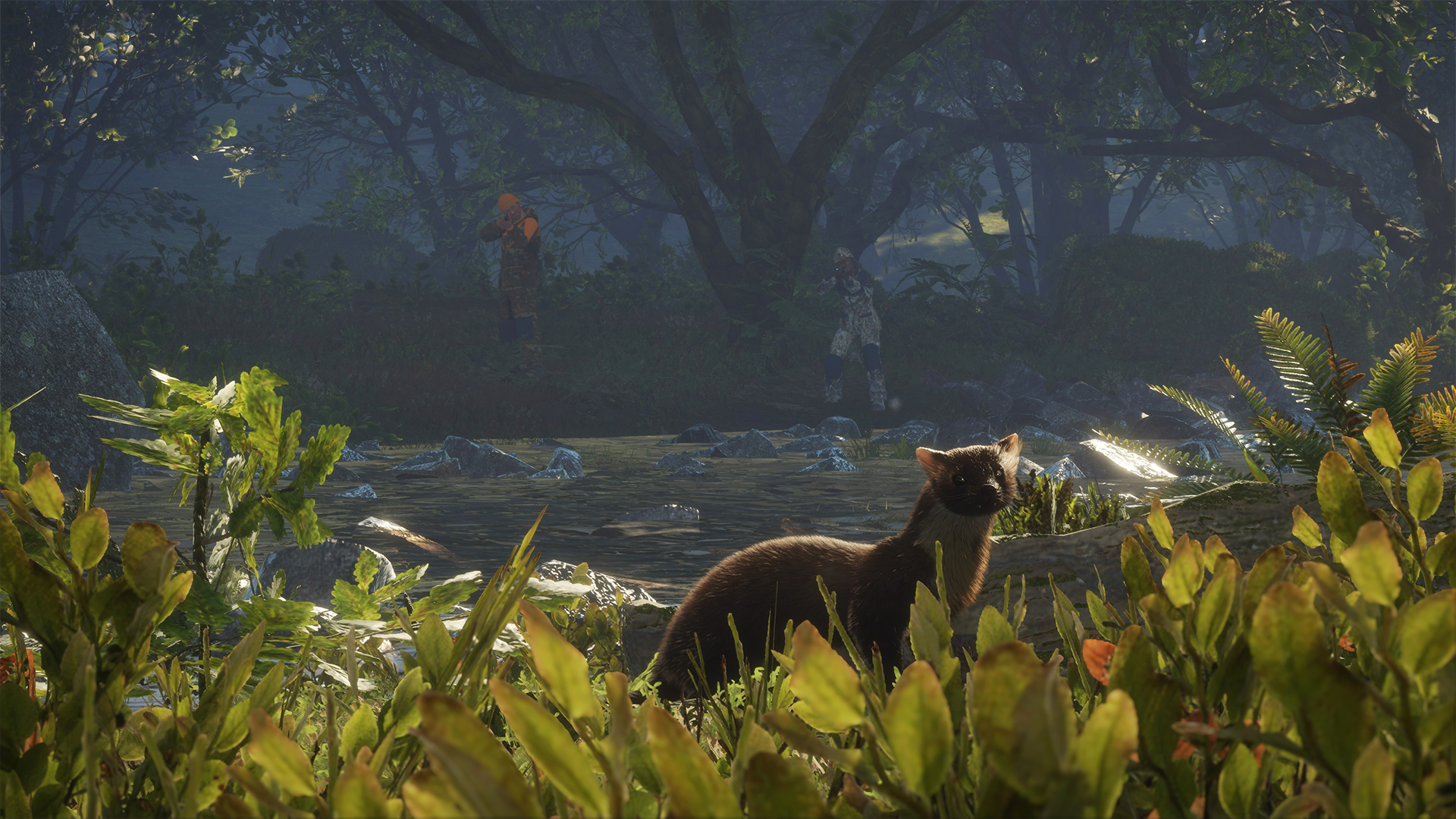 猎人：荒野的召唤中文学习版v251209，新DLC：苏格兰保护区【12.9更新版