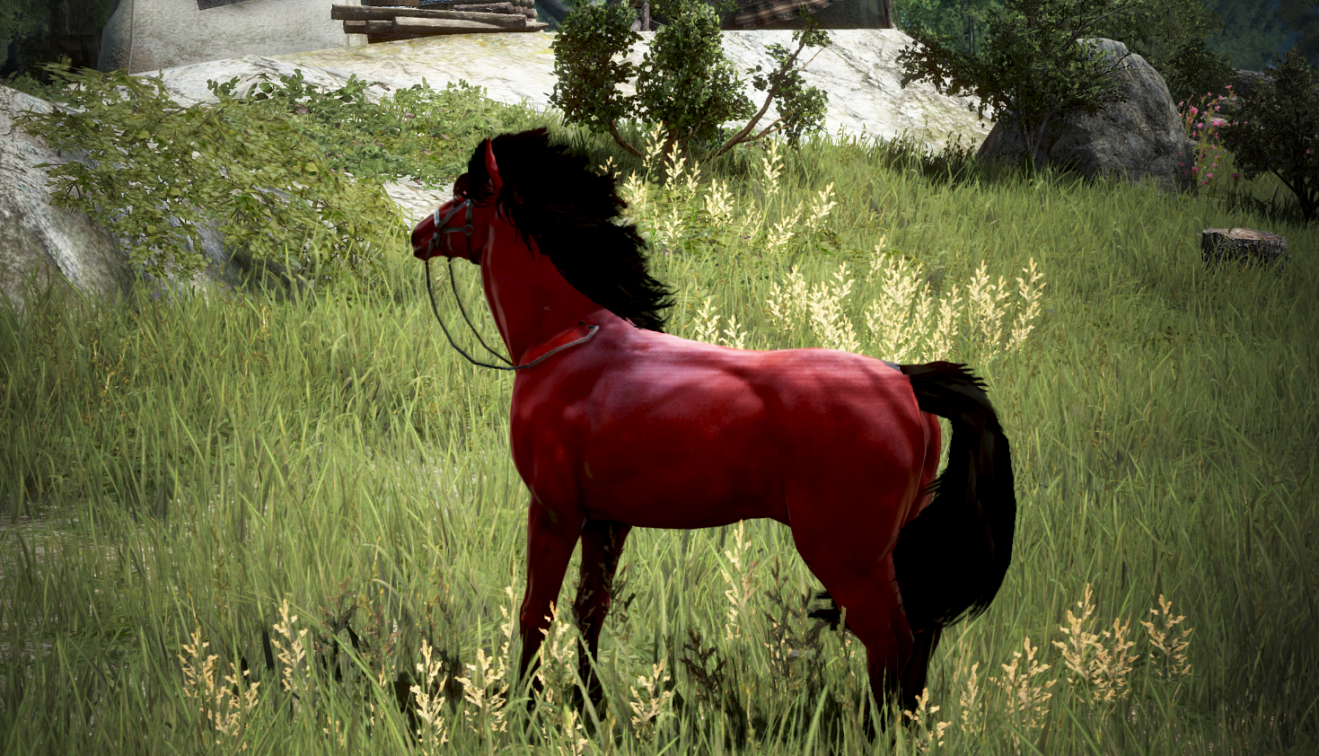 Steam :: Black Desert :: [January 29th] Giddy Up, the Red Hare has