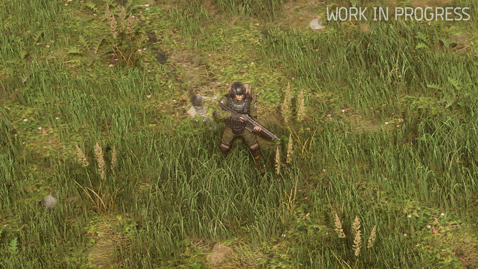 Imp