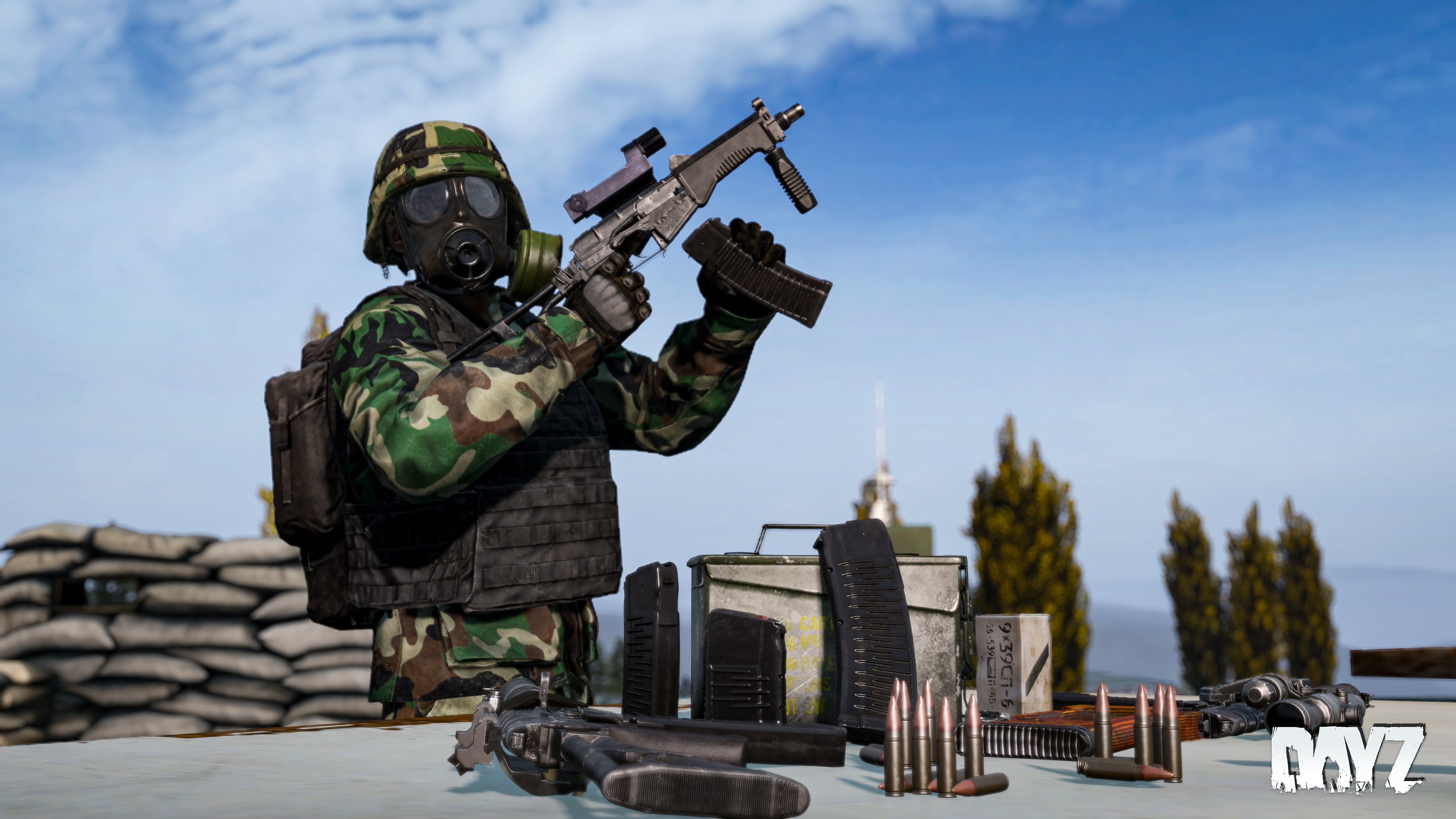 その他 Wild dayz mqdefault.jpg