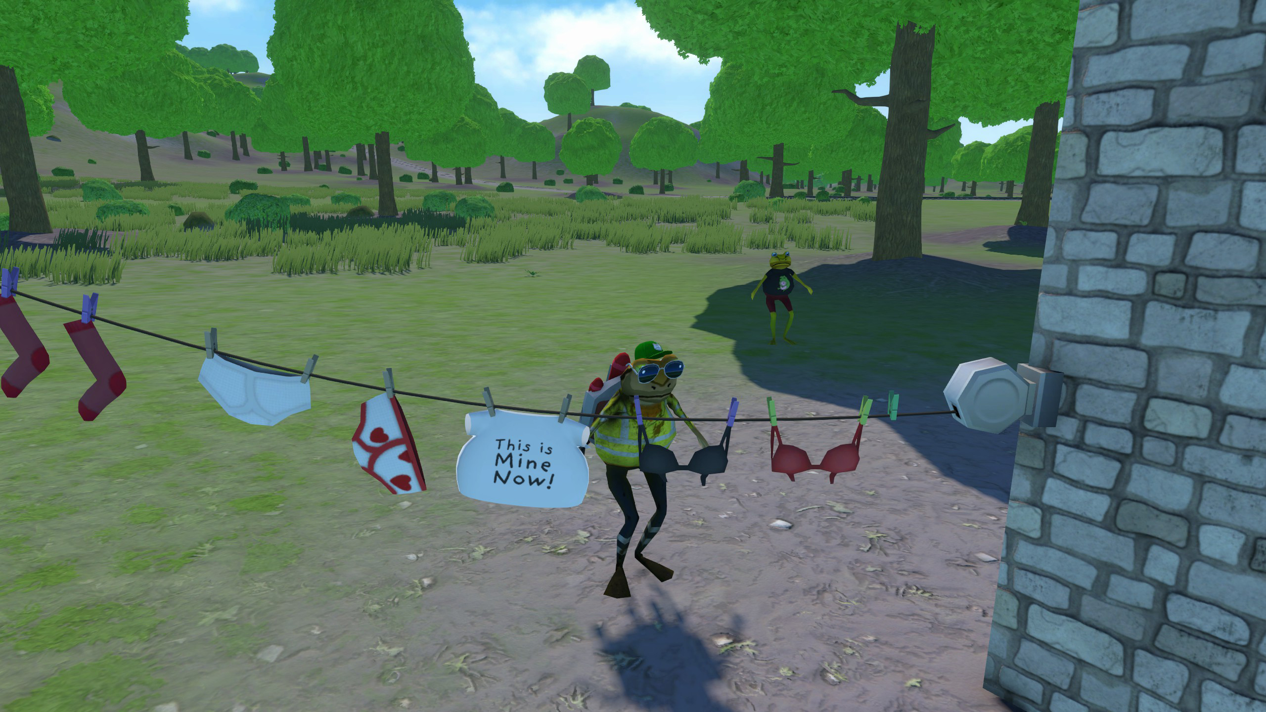 Washing line with items