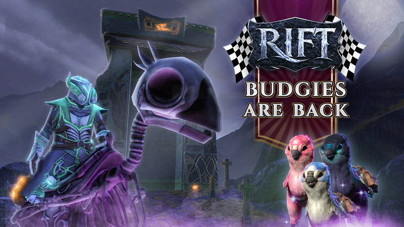 Rift Playable Races Steam :: RIFT :: Head to the races for budgie days!