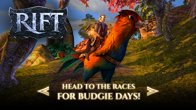 Rift Playable Races Steam :: RIFT :: Head to the races for budgie days!