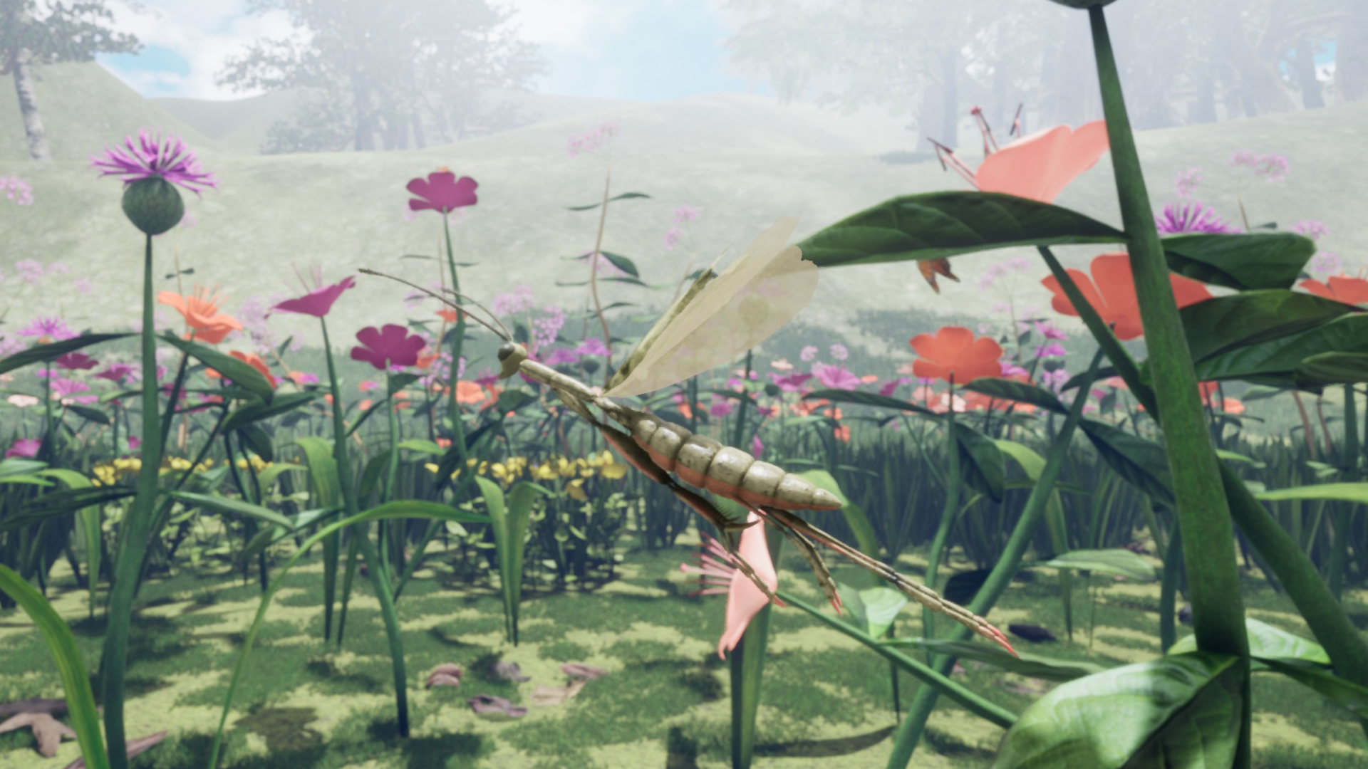 Steam post image