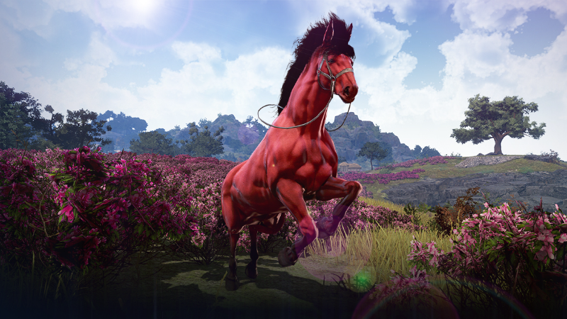 Steam :: Black Desert :: [January 29th] Giddy Up, the Red Hare has