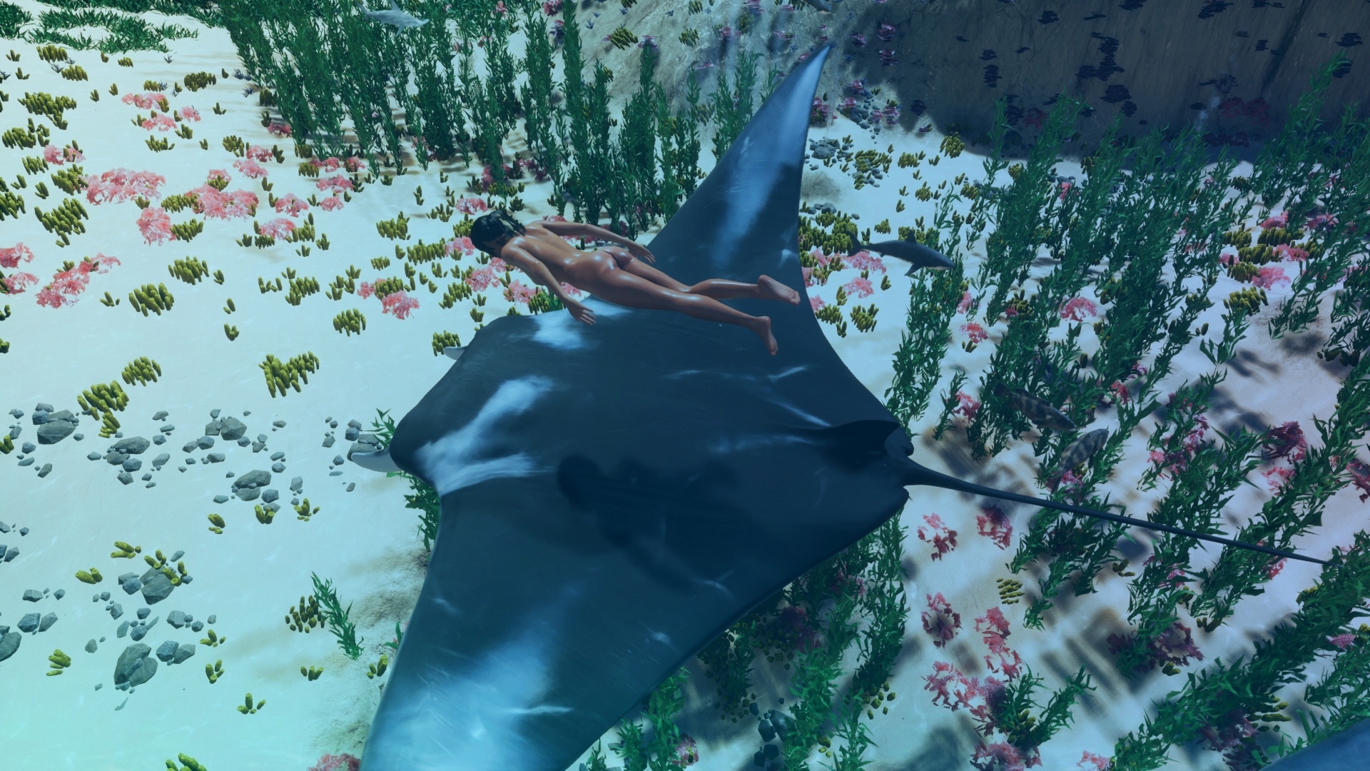 Steam post image