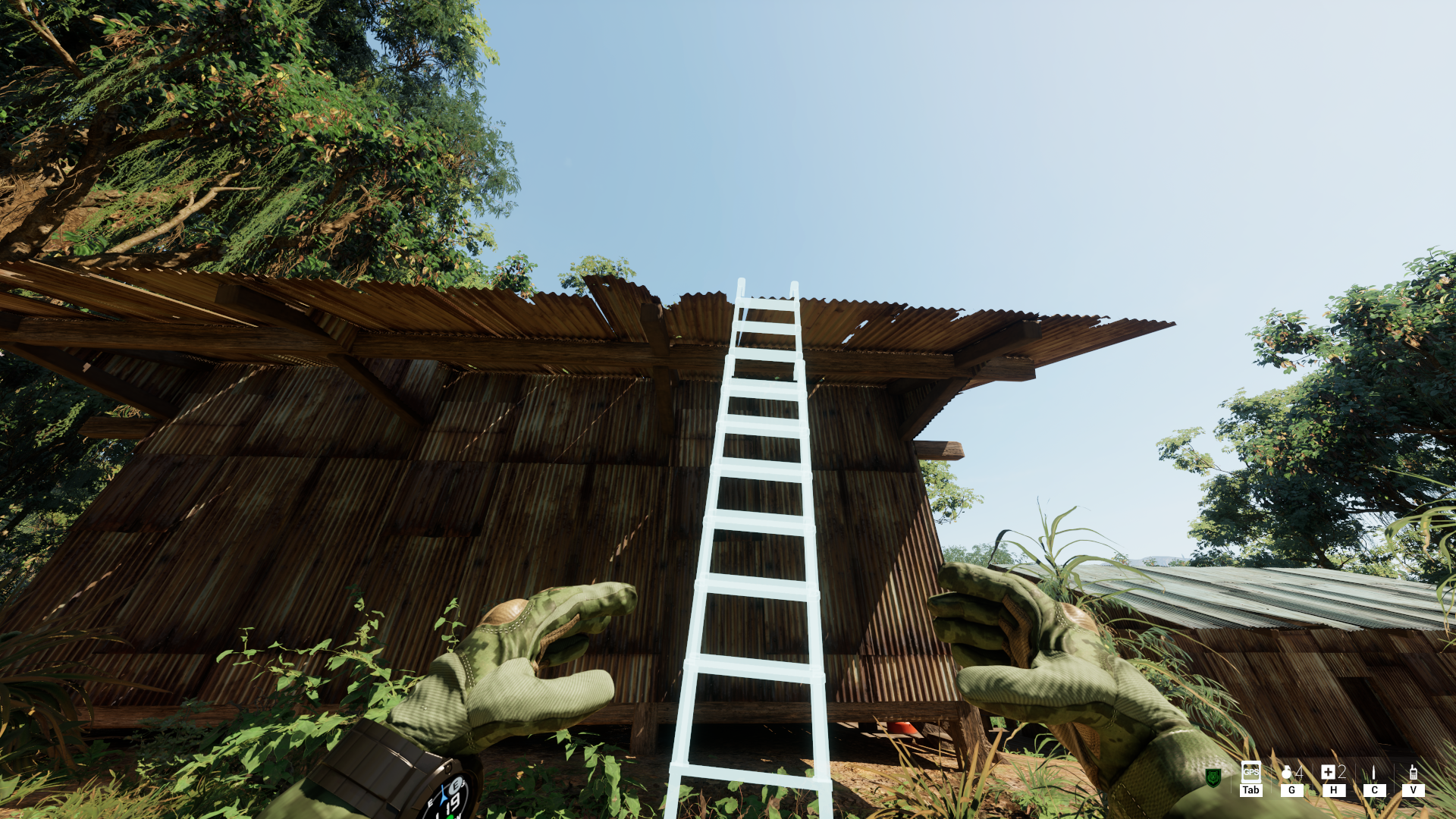 Steam post image