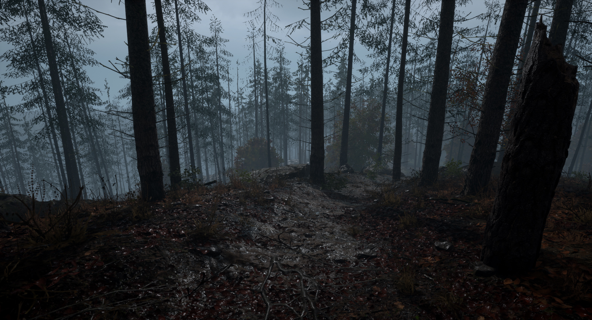 e79b010ea9287e65a971b7eb745a58