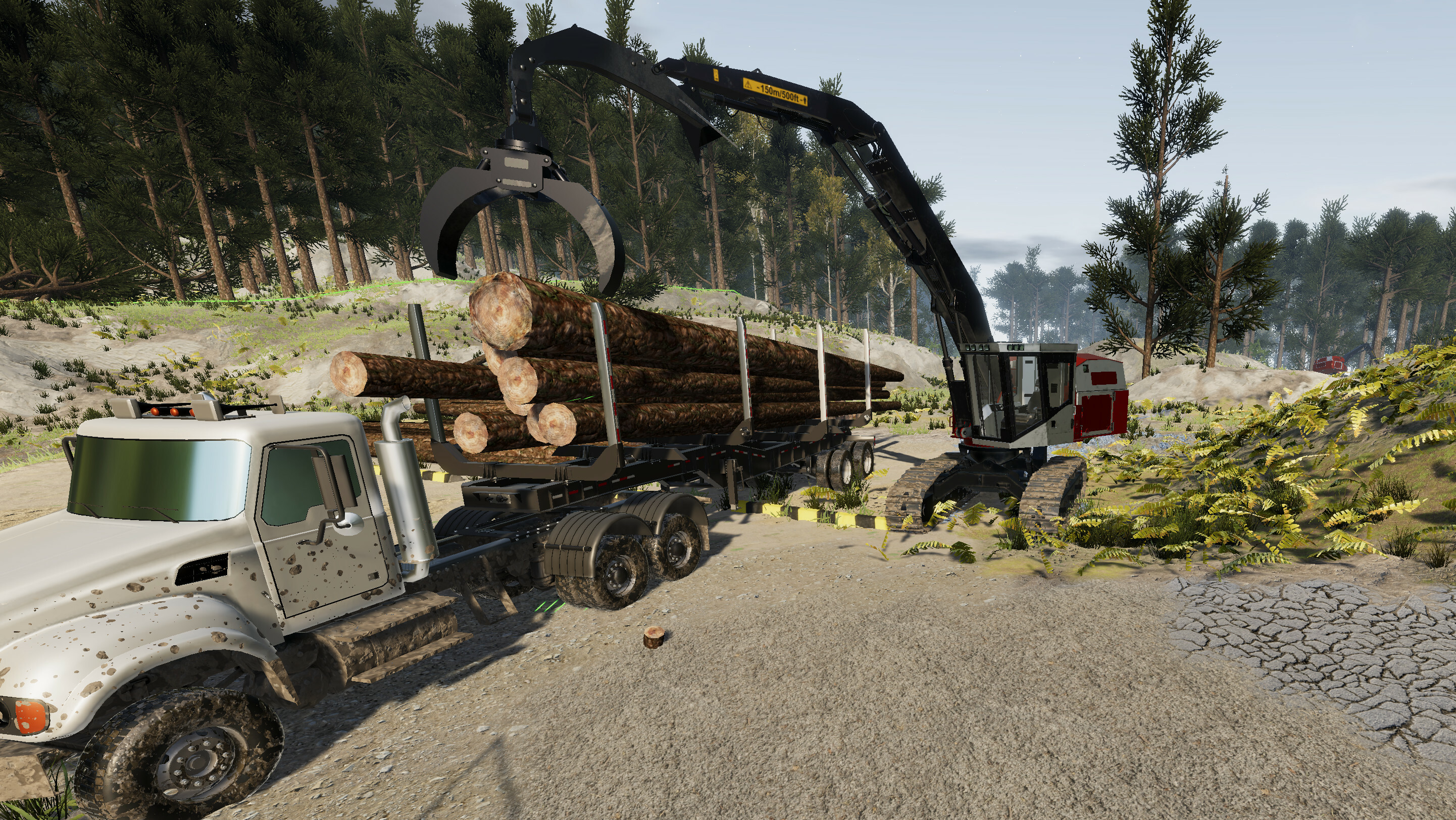 Steam post image