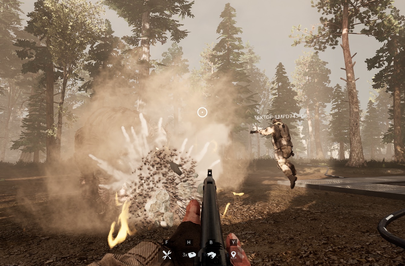 Steam post image