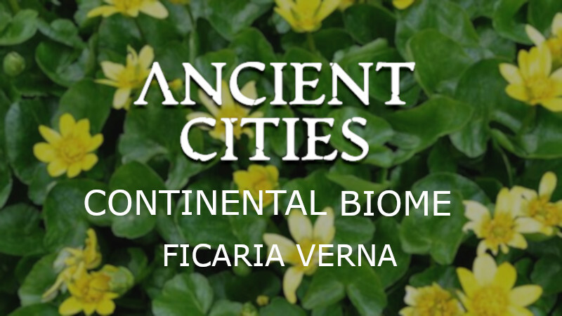 Continental Biome : Ficaria verna plant