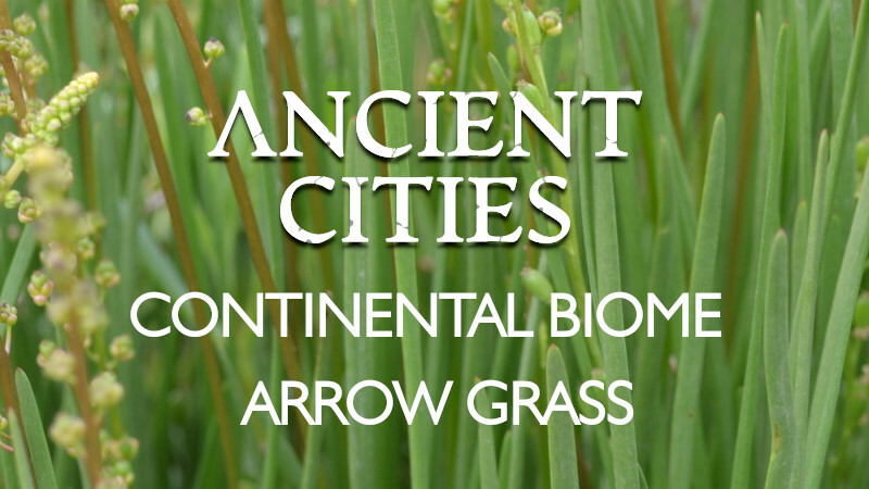 Continental Biome : Arrow grass