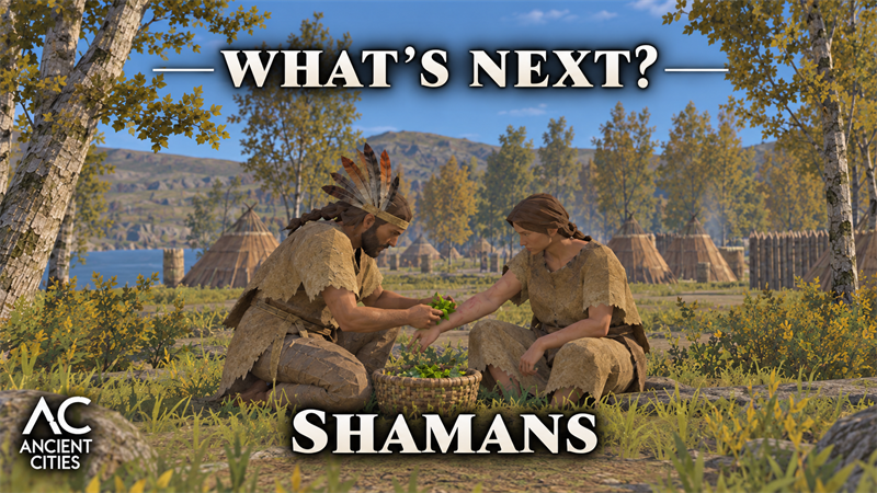 What's Next? - Shamans