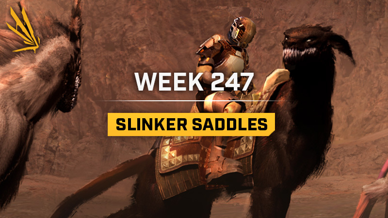 Slinker Saddles