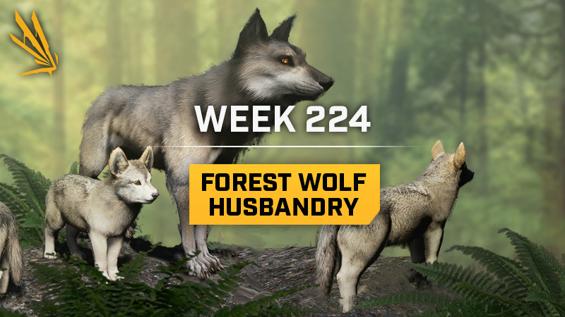 Forest Wolf Husbandry
