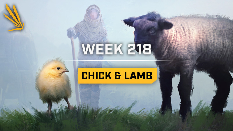 Chick & Lamb