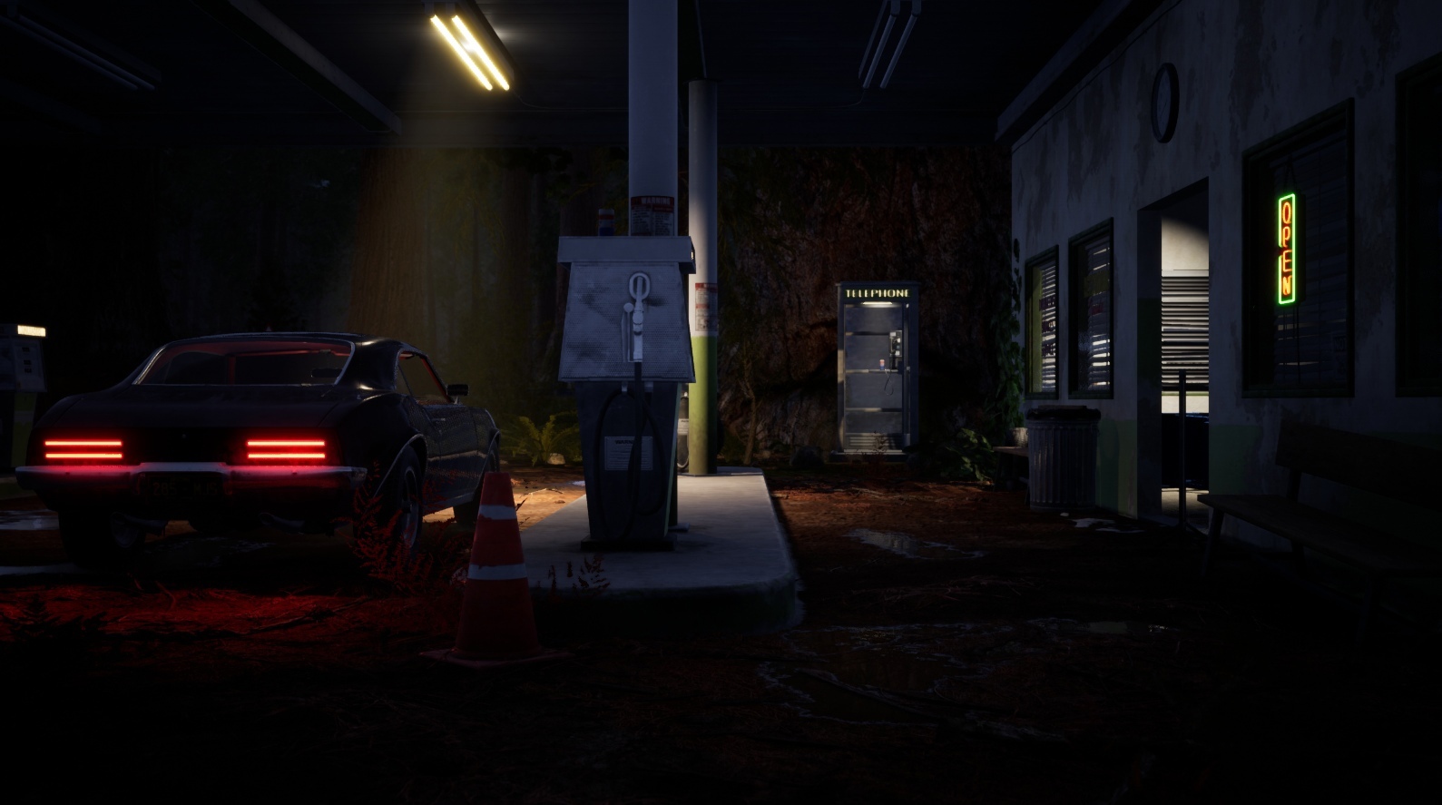 Steam post image