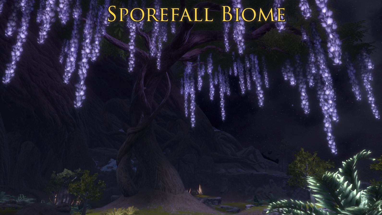 Dantooine Crash Site Outpost