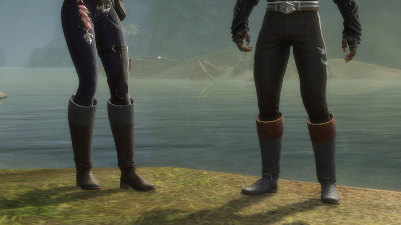Adventure in Sophisticated Style with the Classic Leather Boots Skin