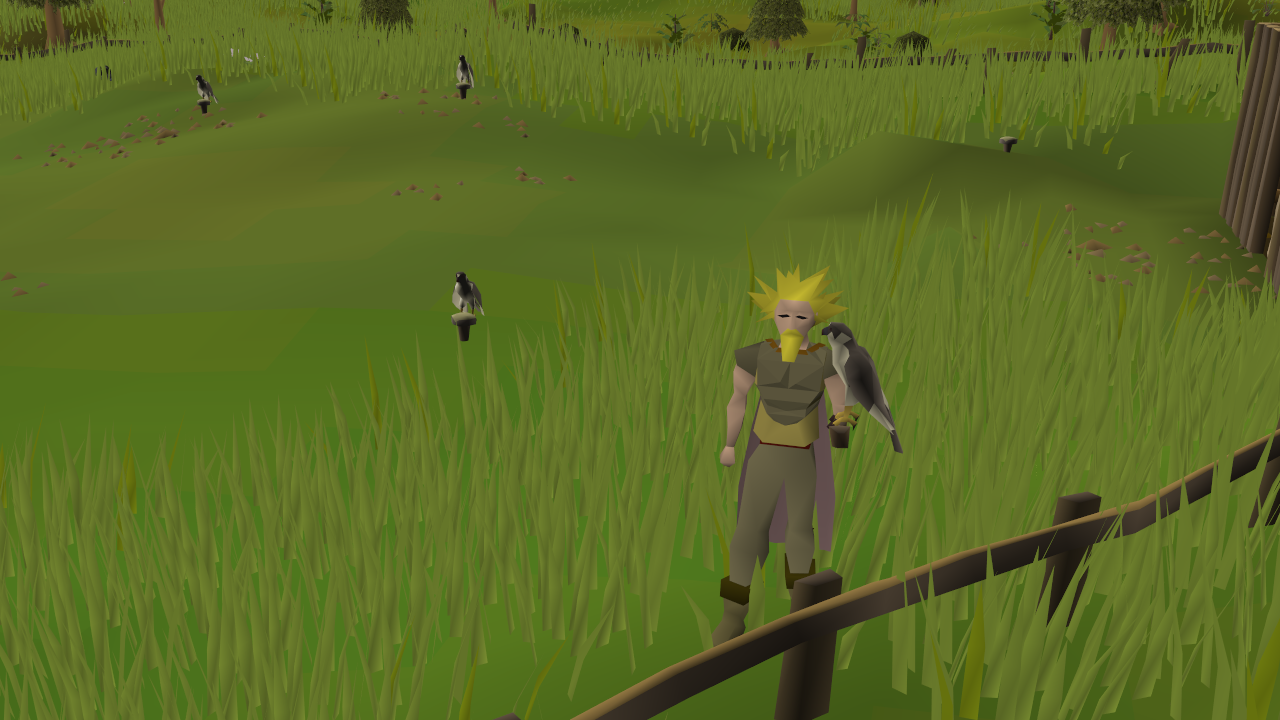Patch notes image