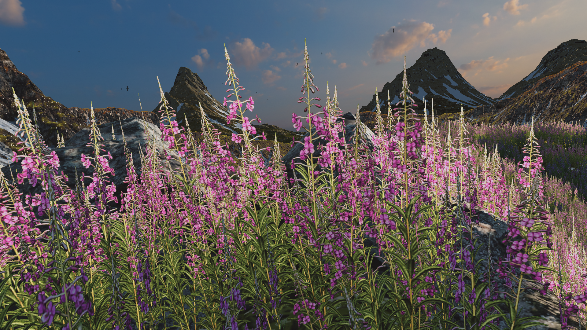 Steam post image