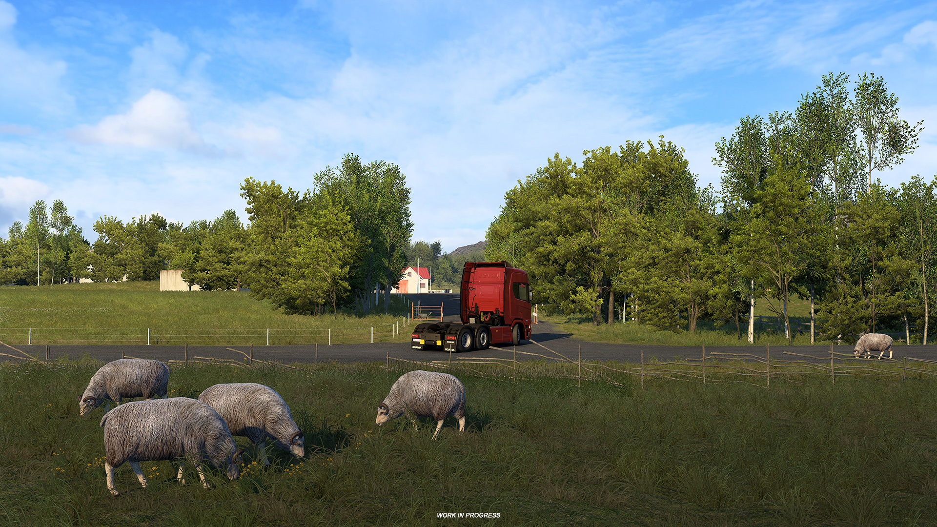 Sheep grazing in the valley