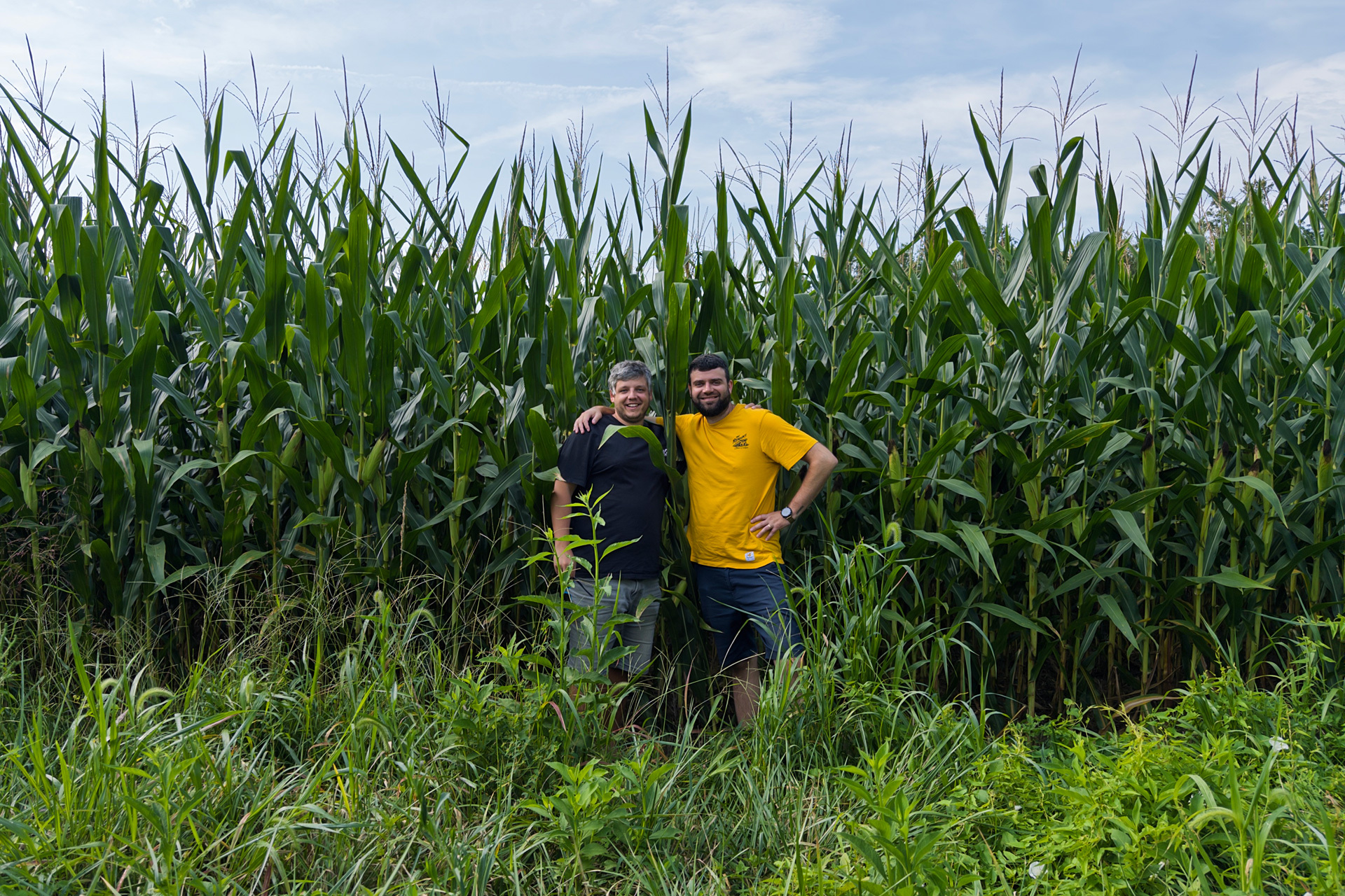 Indiana Landmark 4