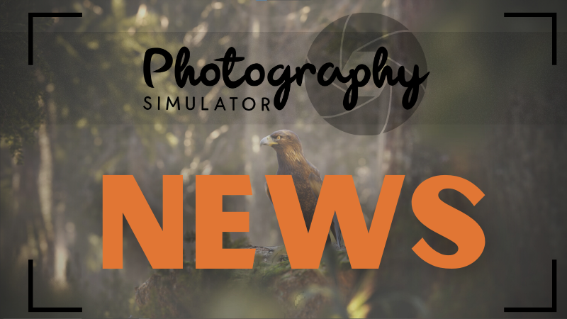 Photography Simulator - We are back on track with Photography Simulator ...