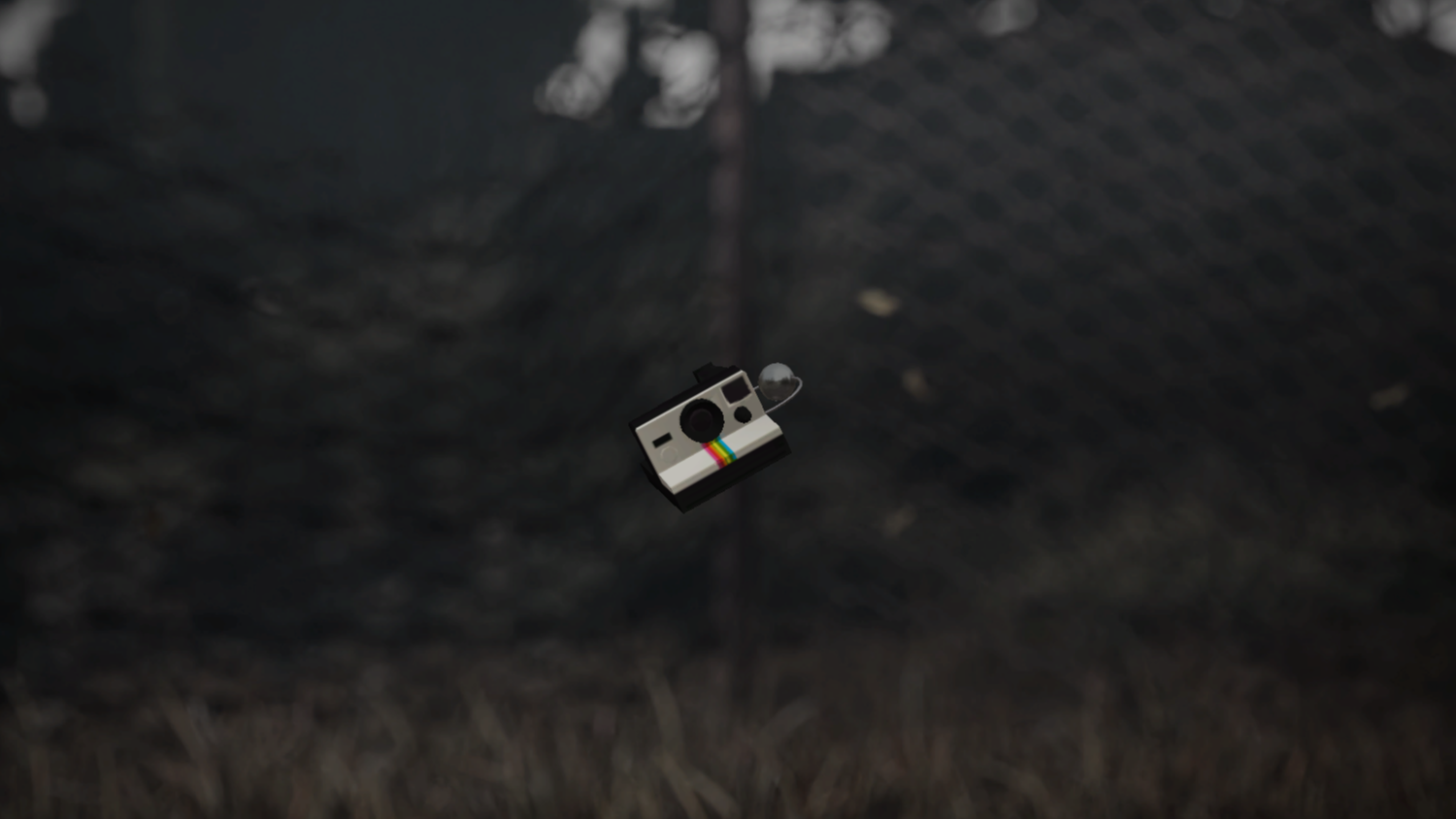 Polaroid charm reward