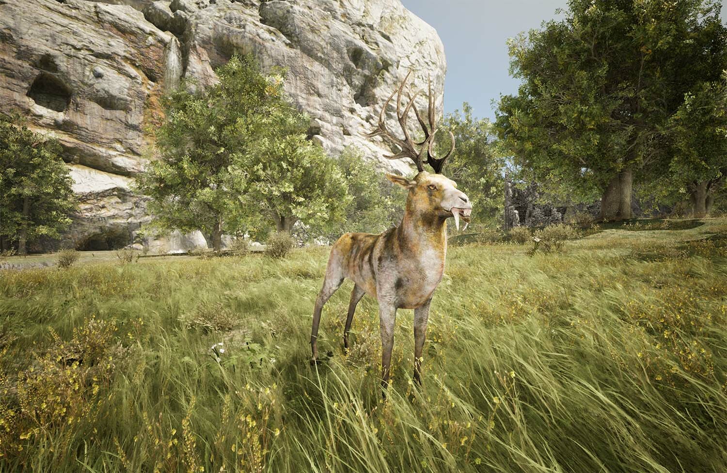 Steam post image