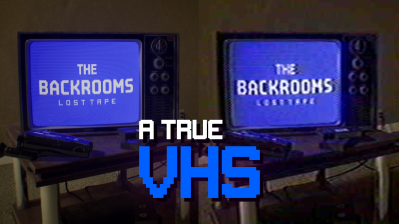 The TRUE VHS Filter
