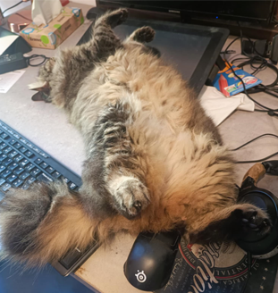 Steam post image