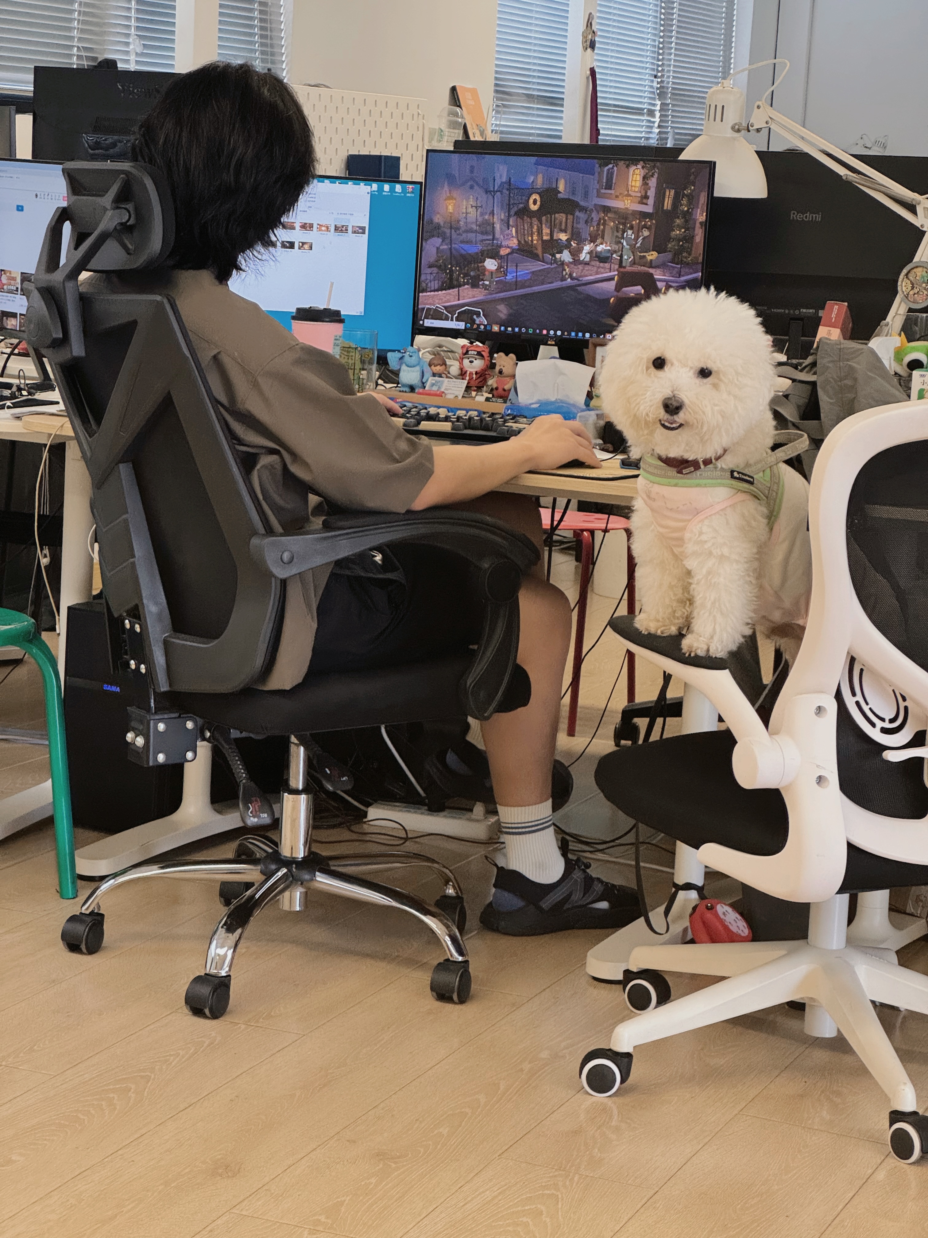 Steam post image