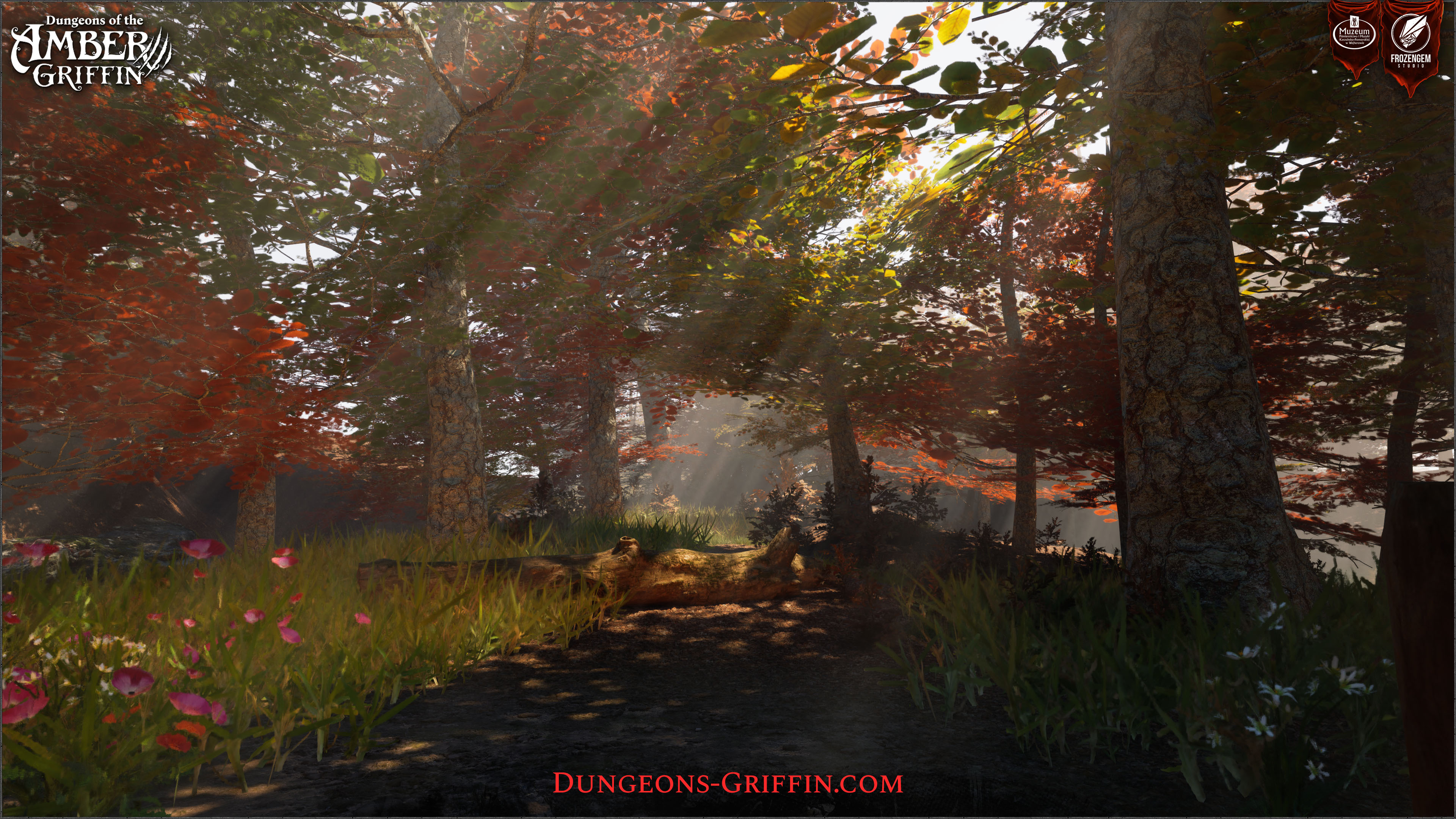 NEWS - Dungeons of the Amber Griffin : Report, démo et campagne abandonnée 2 150e91ae5af6e7d0f7e6e46046a1513516497f3c | RPG Jeuxvidéo
