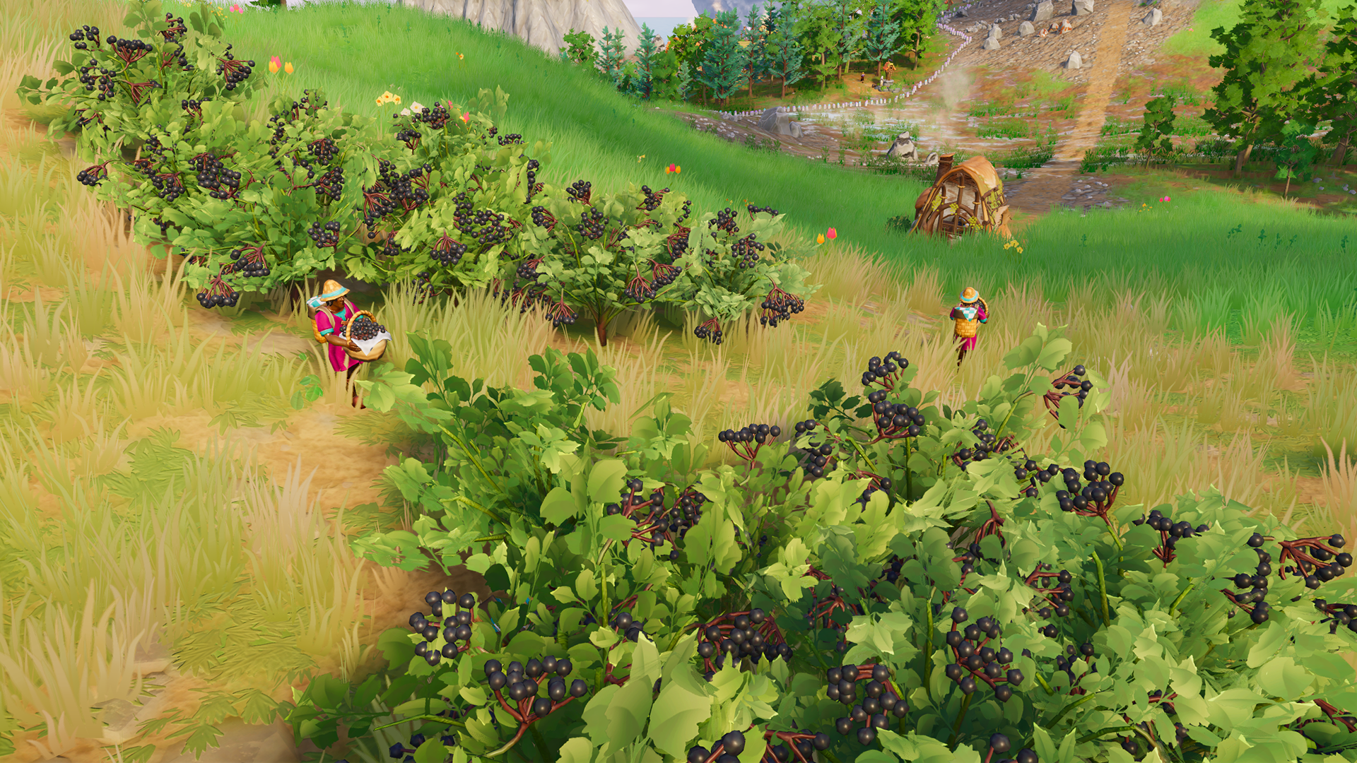 Steam post image