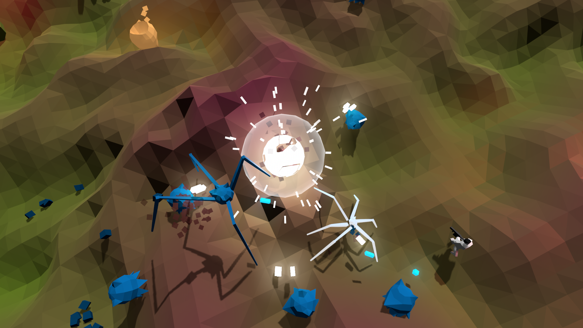 Steam post image