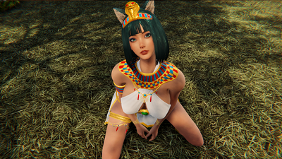 Офицердің жыныстық қатынас кезіндегі орны