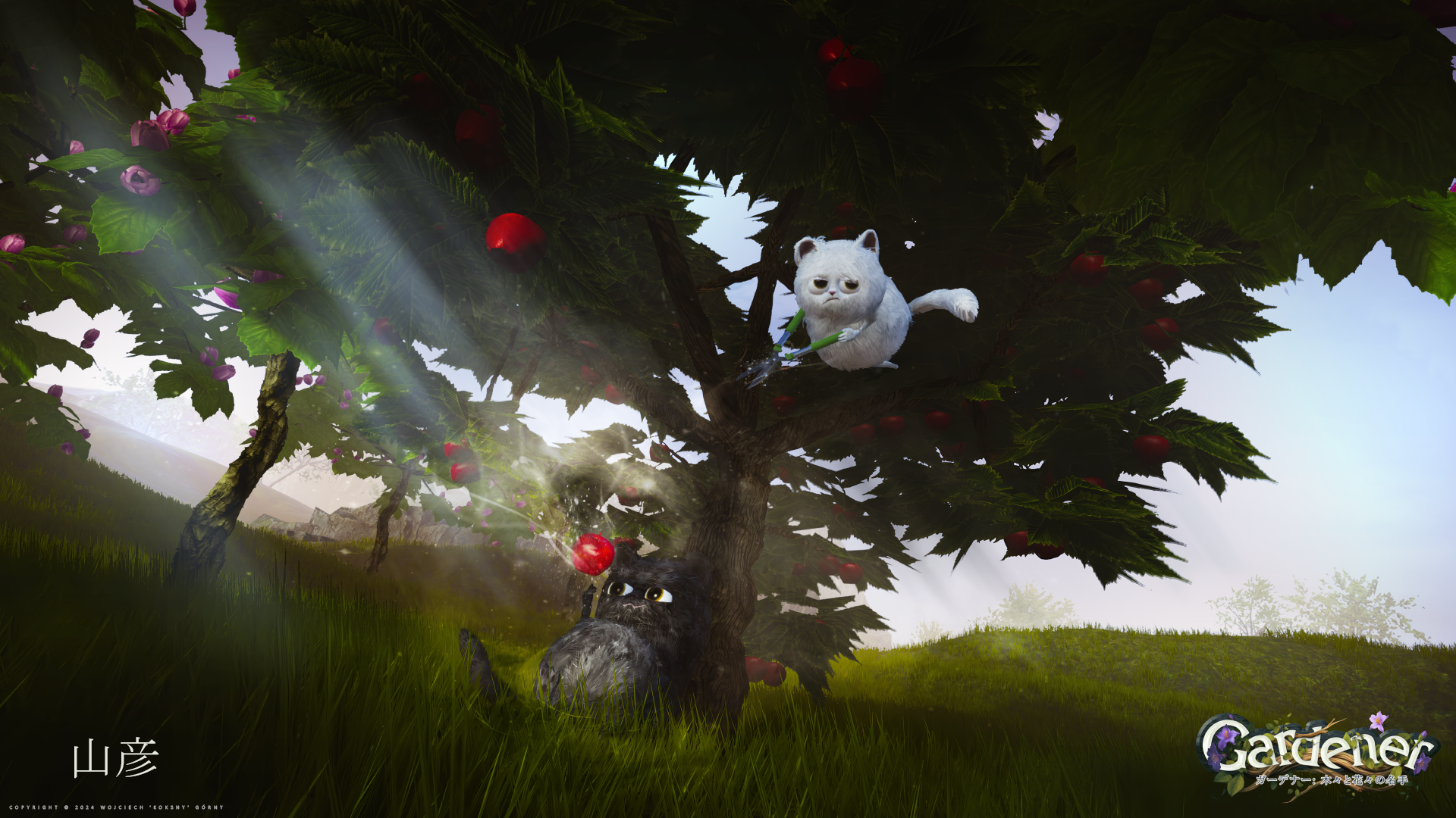 Steam post image