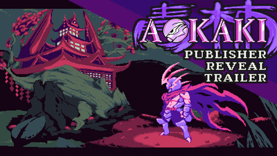 Steam：AOKAKI