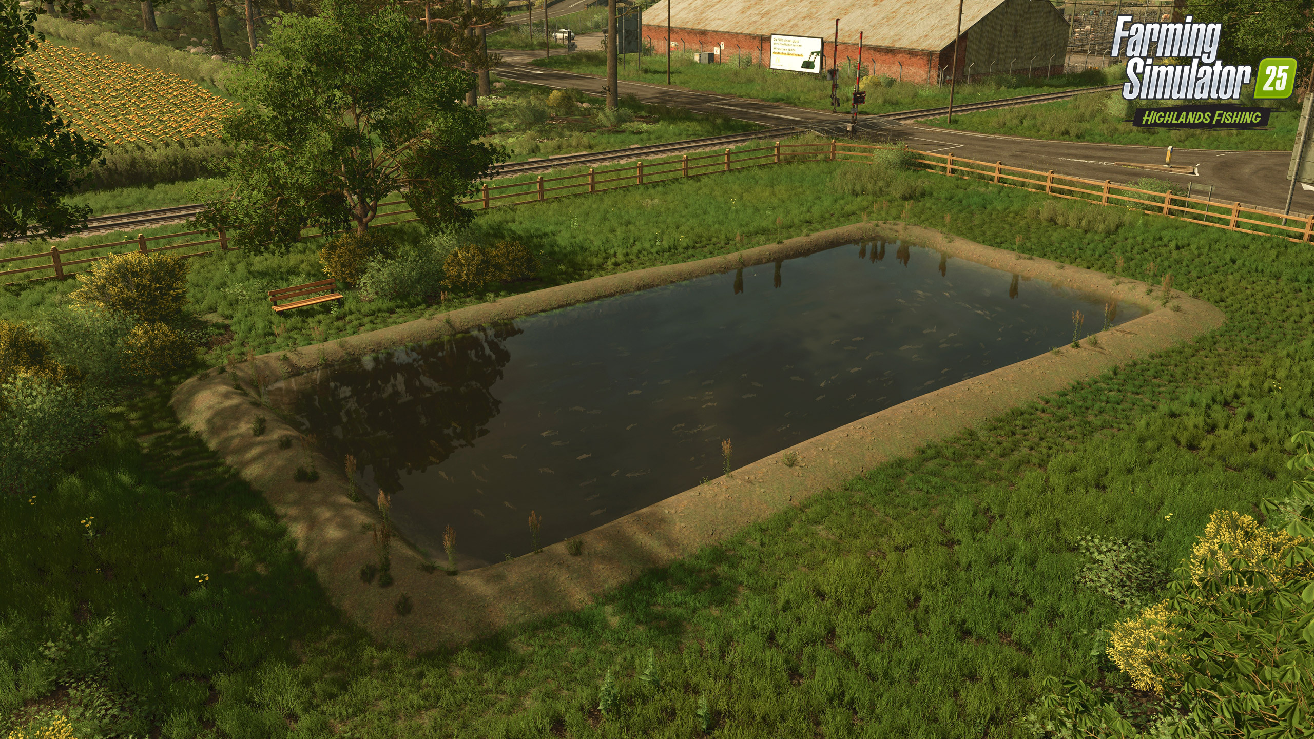 Small fishpond on farm