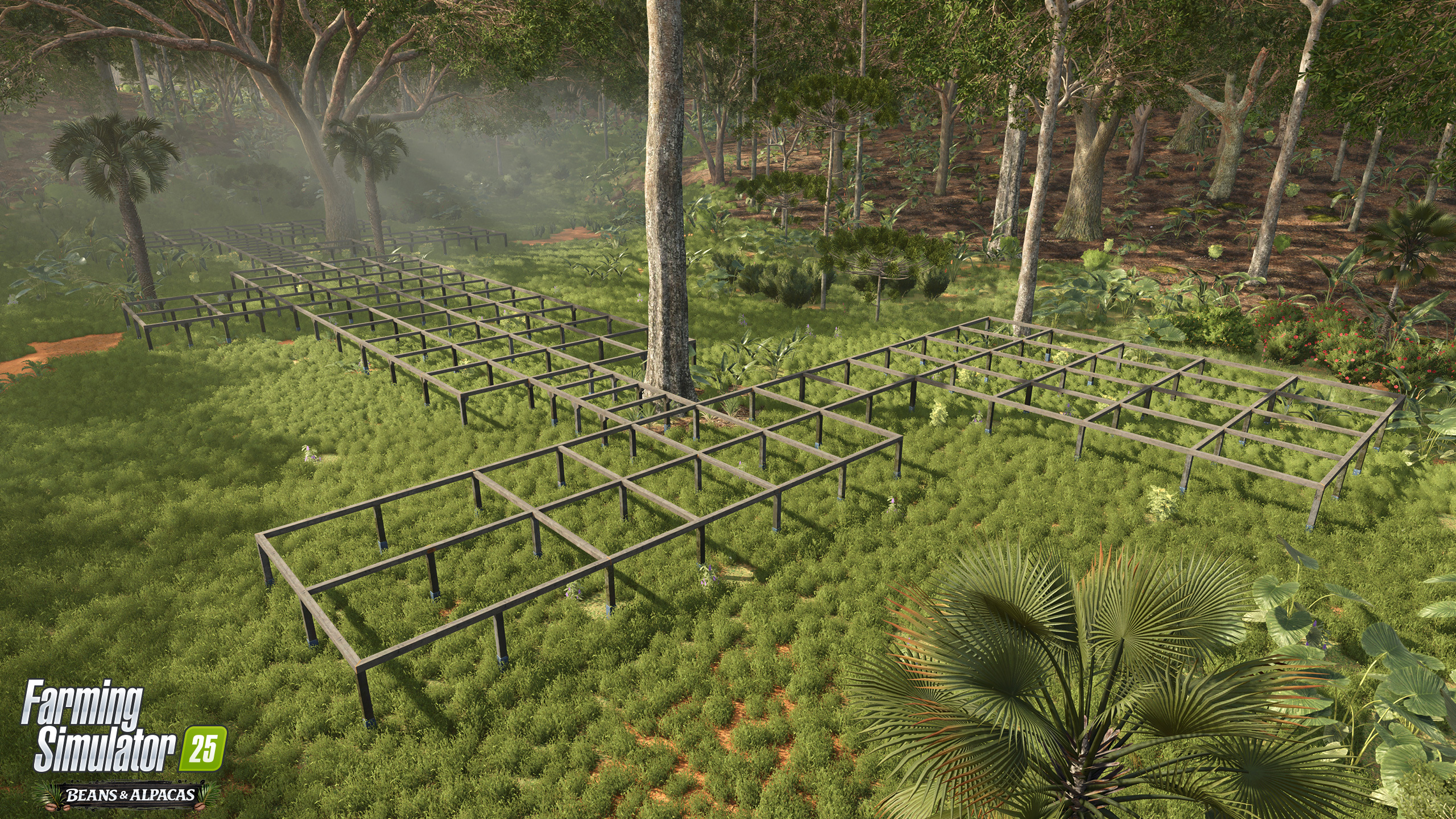 Research Station in the Rainforest