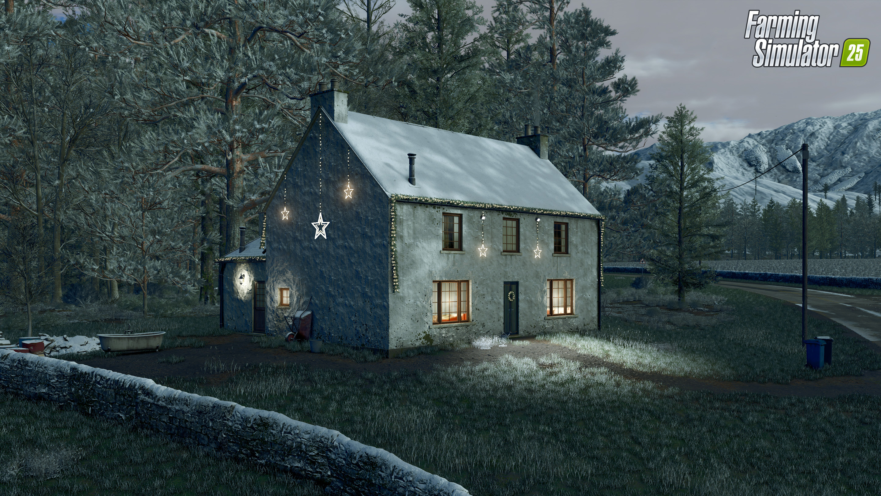 Christmas decorations