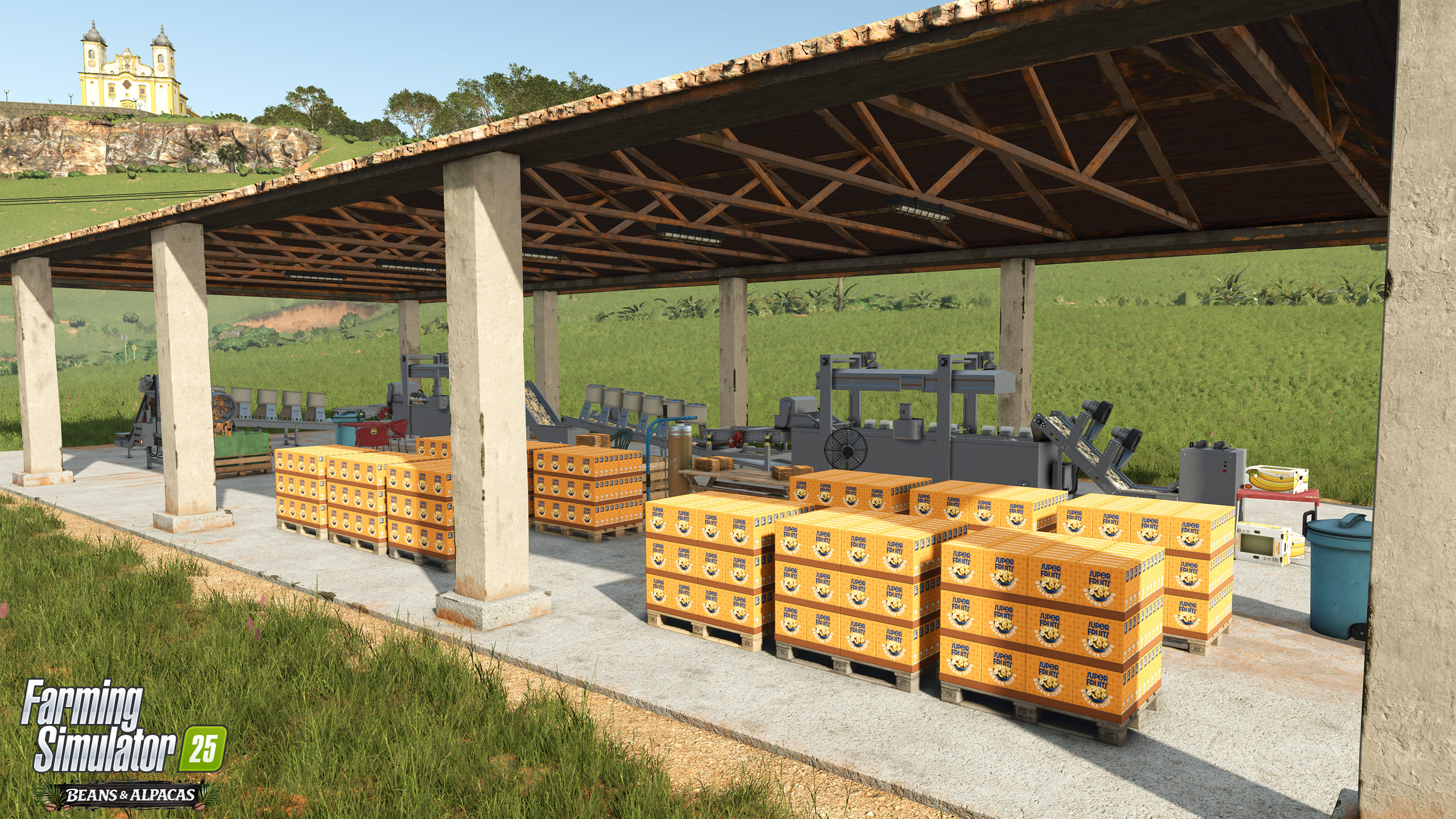 Banana Washing Station