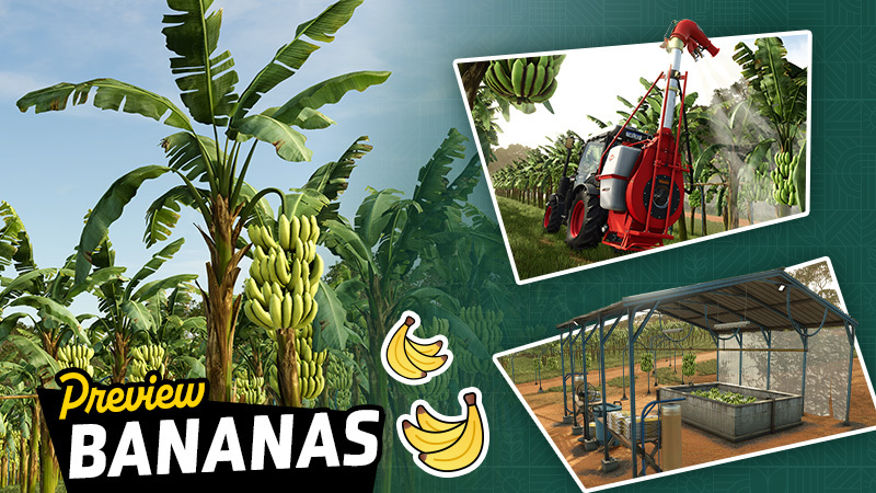 Crop Preview: Bananas | Beans & Alpacas