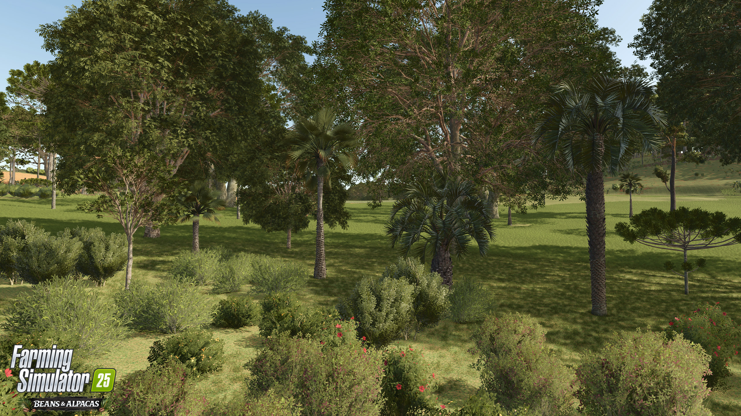 Detailed Foliage