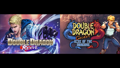 Double Dragon Revive on Steam