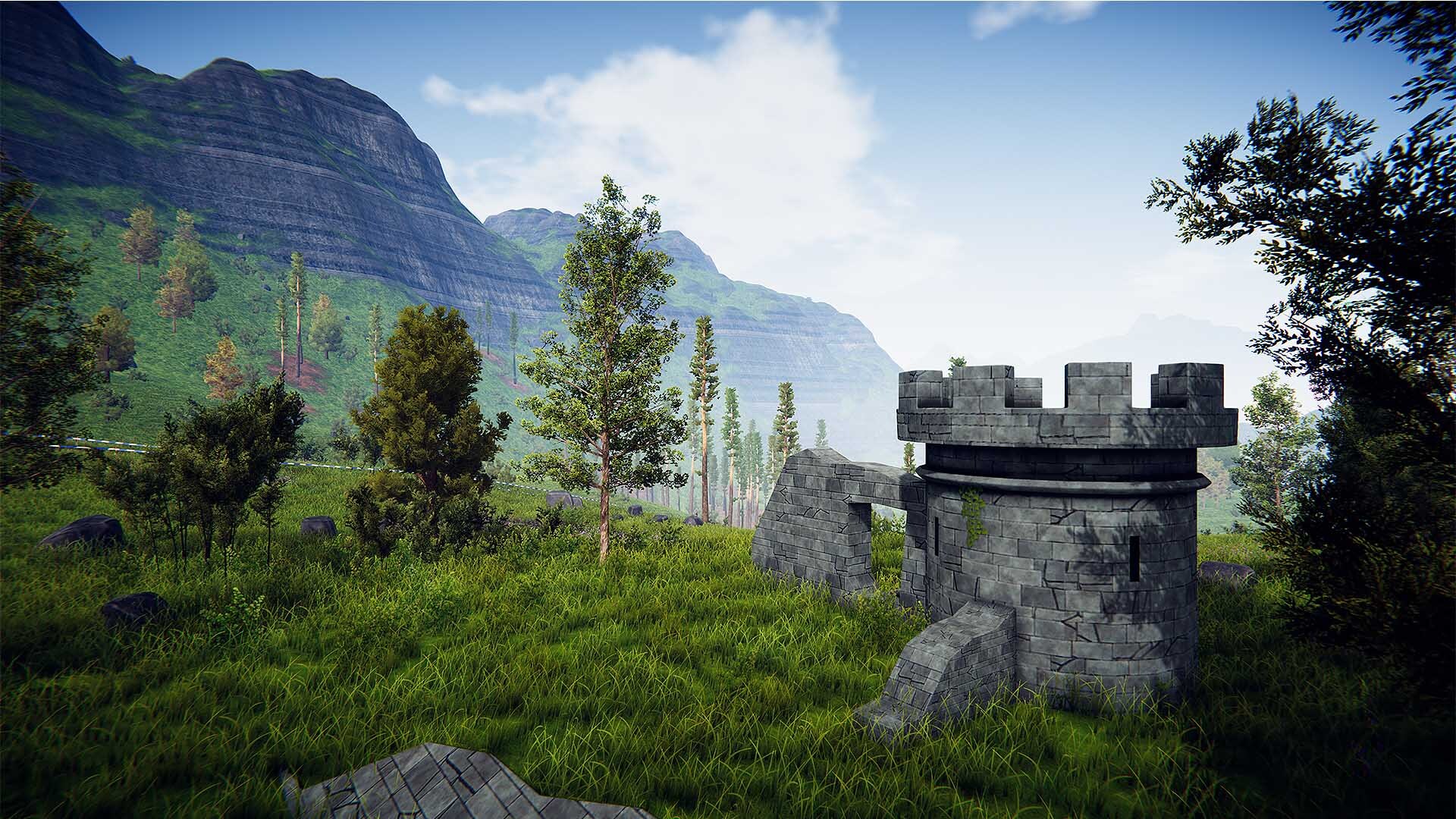 Steam post image