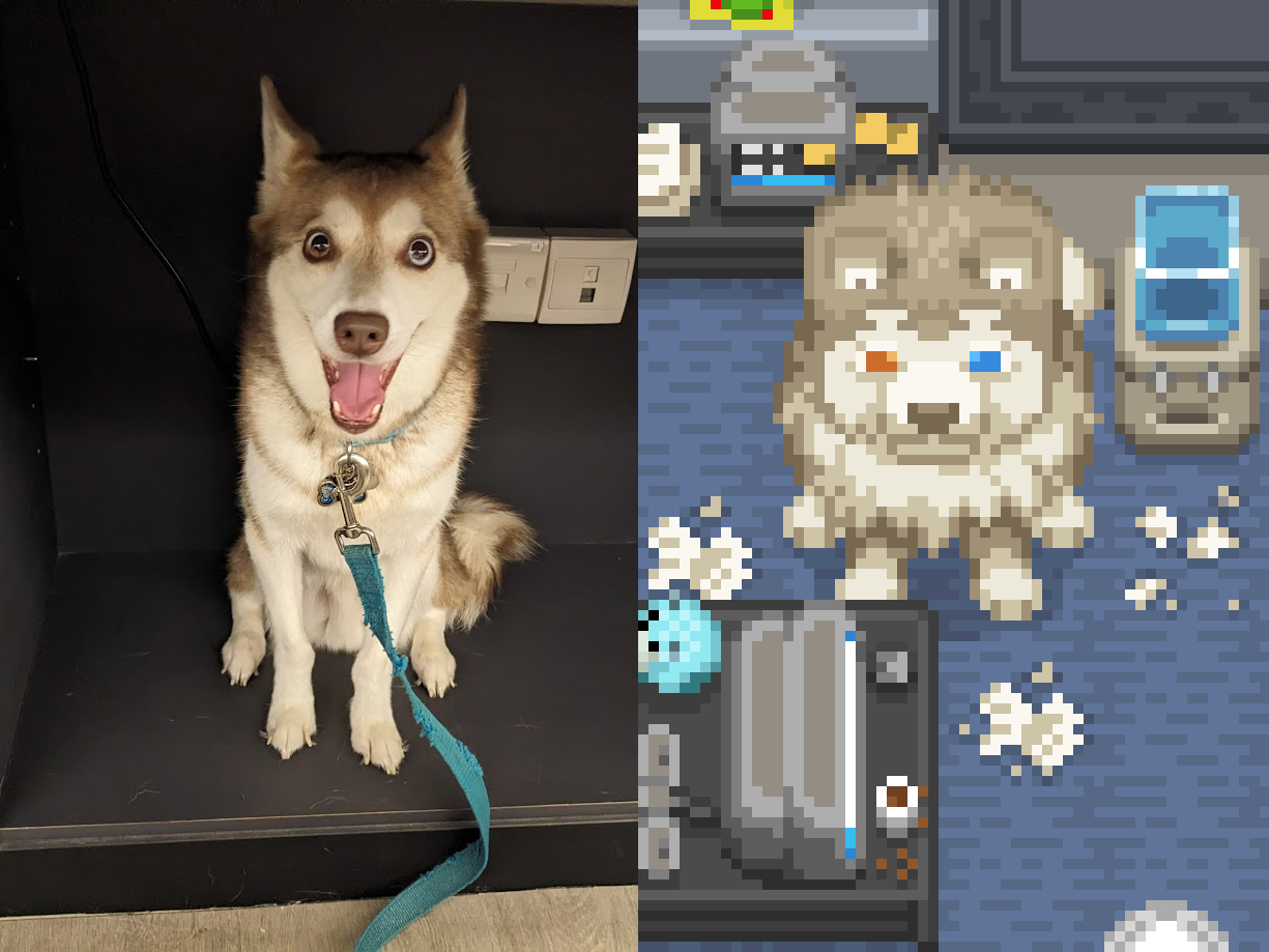 Steam post image