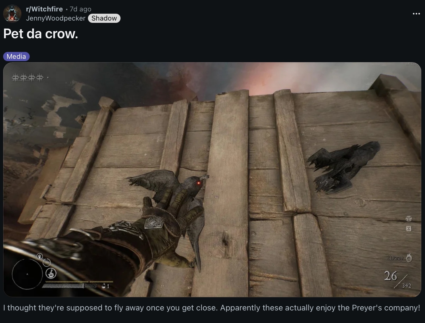 Steam post image
