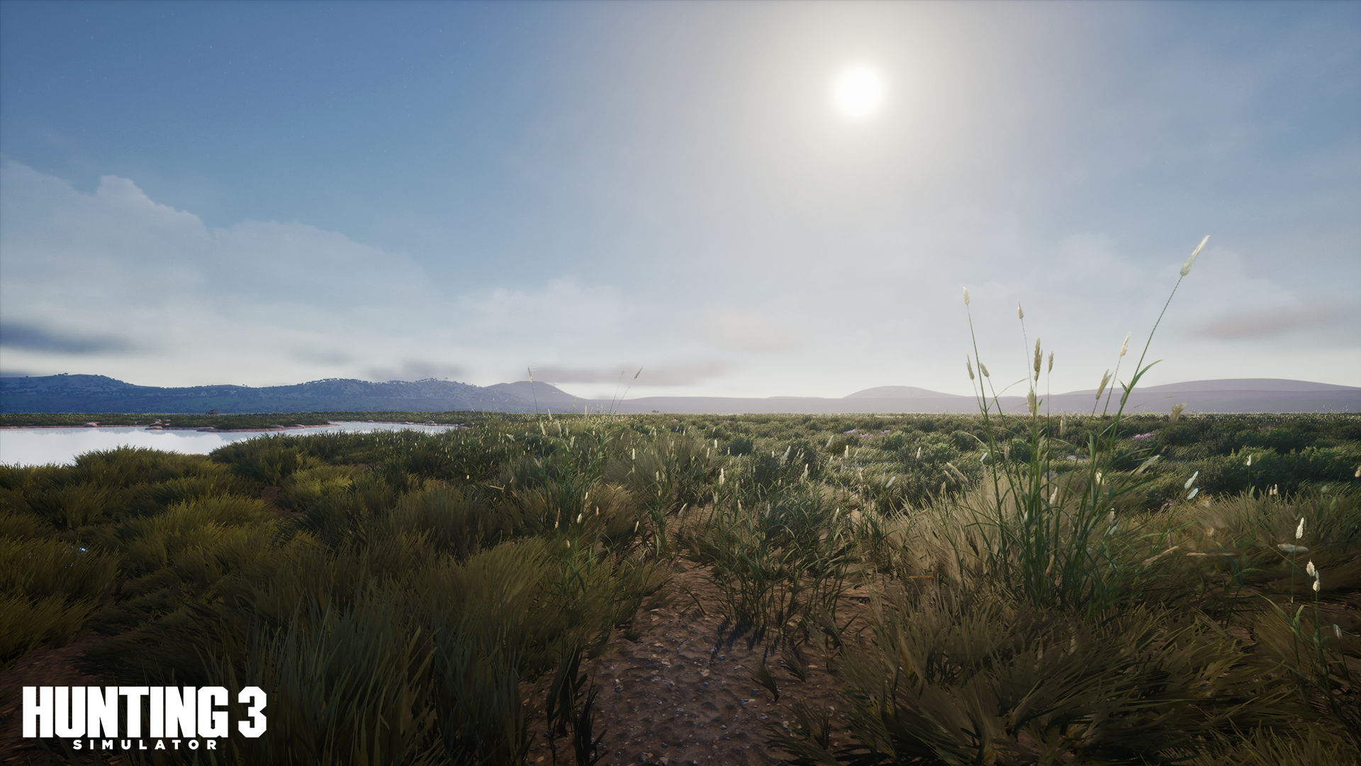 Open Hunting Simulator 3 grassland with low vegetation and a clear horizon for learning spotting